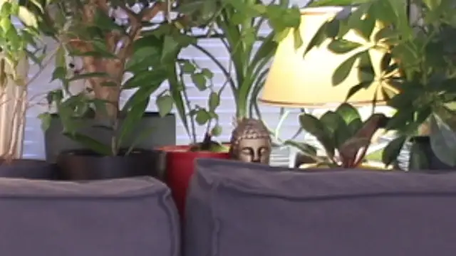 Snapshot of Lily_minx chatting on 11-13-25, 03:38 Lily minx online show from 11-13-25, 03:38