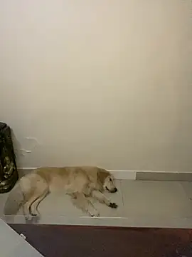 sombre sabhya online show from 03-12-26, 05:30