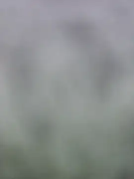 fuckineverett online show from 03-15-25, 03:48