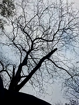 Keli Jessi online show from 11-19-25, 01:33