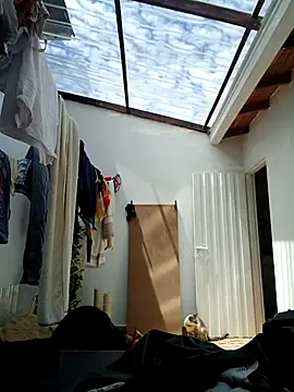 Snapshot of LunaZambrano chatting on 09-08-25, 03:44 LunaZambrano online show from 09-08-25, 03:44