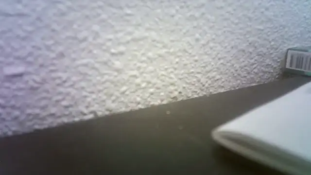 Snapshot of pau65vb chatting on 11-19-25, 08:03 pau65vb online show from 11-19-25, 08:03