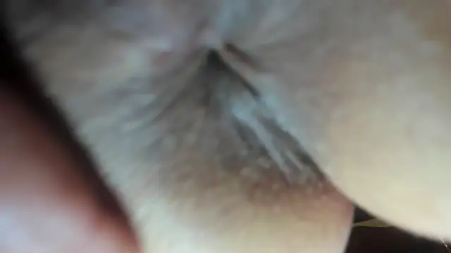 Snapshot of FrumCake chatting on 12-21-24, 03:47 FrumCake online show from 12-21-24, 03:47