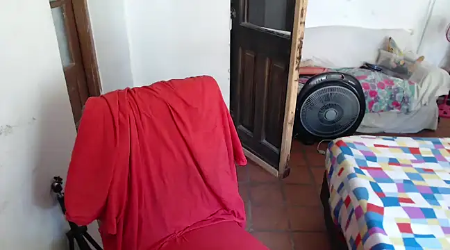 deftoolceles online show from 12-08-24, 03:13