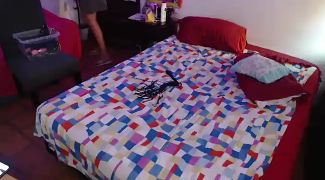 deftoolceles online show from 03-20-25, 07:35