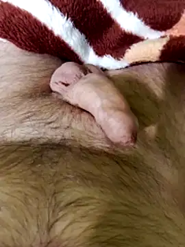 Robertvirt online show from 02-16-26, 11:06