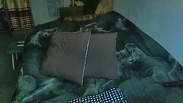 sex2 online show from 10-14-25, 11:05