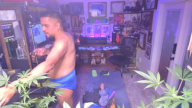 Snapshot of Briefs_bud chatting on 12-16-24, 03:19 Briefs bud online show from 12-16-24, 03:19