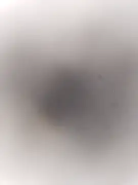 Pitercom online show from 09-20-25, 03:46