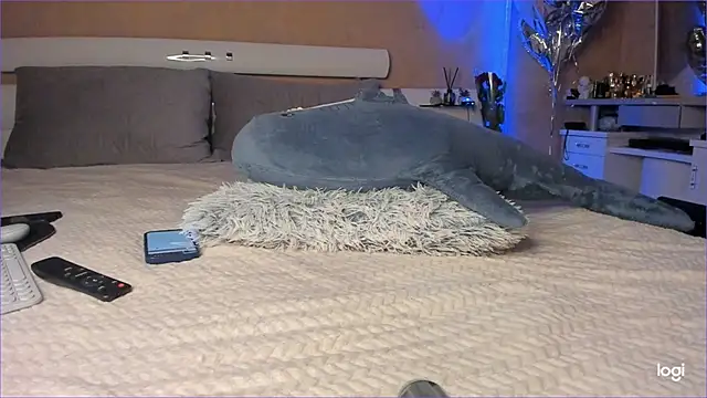 Diamond D  online show from 10-16-25, 05:03