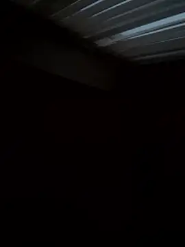 Flossy Vettie online show from 11-25-25, 02:39