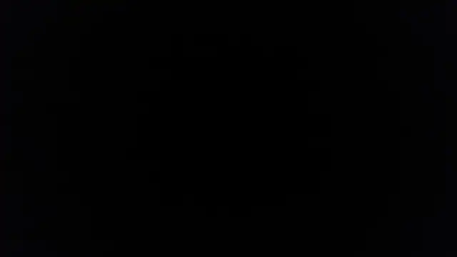 Snapshot of palidin1 chatting on 12-05-25, 07:43 palidin1 online show from 12-05-25, 07:43