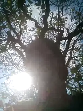 Mohni Das online show from 03-25-26, 07:47