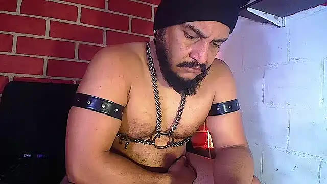 the master foal  online show from 01-14-25, 05:01