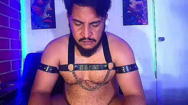 the master foal  online show from 02-19-25, 07:50