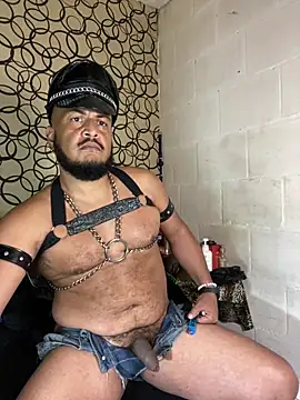 the master foal  online show from 04-02-26, 07:17