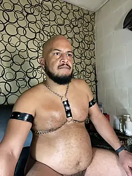 the master foal  online show from 04-25-26, 09:23