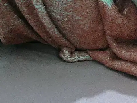 Snapshot of FUN4TIPS chatting on 03-01-25, 07:26 FUN4TIPS online show from 03-01-25, 07:26