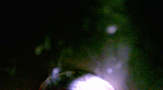 h0ney lips online show from 03-01-25, 01:18