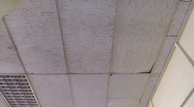 Mydreamgirrl online show from 03-06-25, 01:46