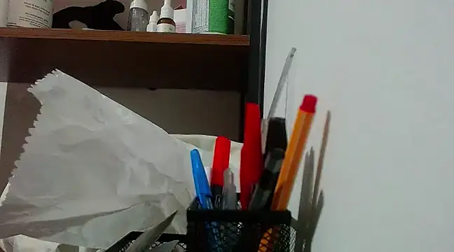 Sangelll online show from 01-11-25, 11:56