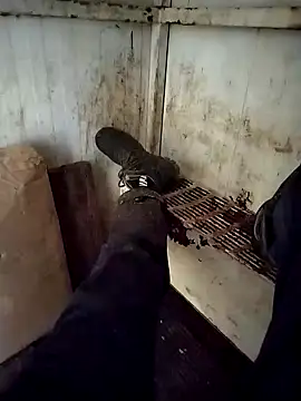 VASKOS178 online show from 12-29-24, 11:29