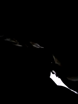 74bob online show from 09-21-25, 04:25