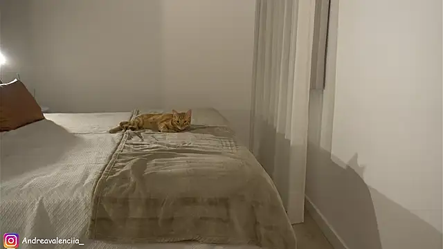 Snapshot of kendall_ruiz chatting on 03-10-25, 08:23 kendall ruiz online show from 03-10-25, 08:23