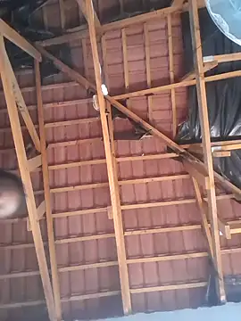 LeonardoRoot32 online show from 02-07-25, 11:12