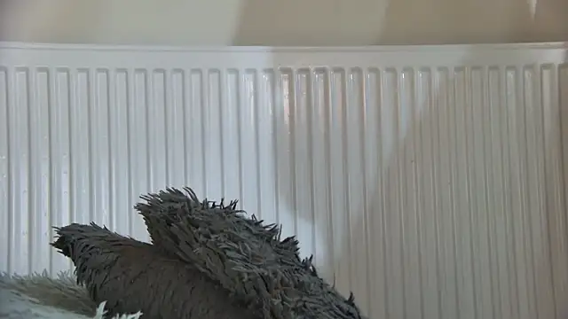 curvyana69 online show from 01-05-26, 05:27