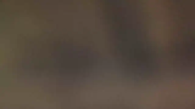 leccaleccafiga online show from 03-10-26, 02:00