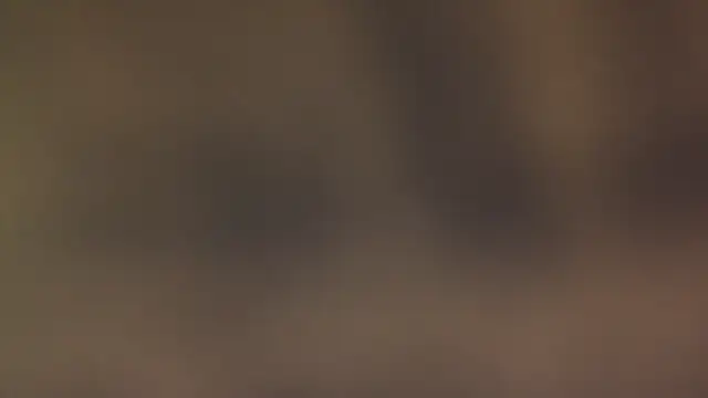 leccaleccafiga online show from 03-12-26, 06:47