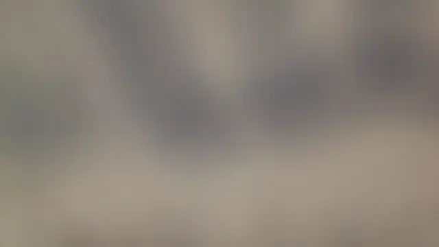 leccaleccafiga online show from 04-25-26, 01:52