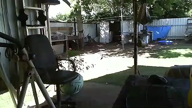 Snapshot of herbie010666 chatting on 12-22-24, 06:06 herbie010666 online show from 12-22-24, 06:06