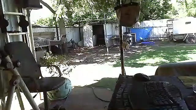 Snapshot of herbie010666 chatting on 01-17-25, 05:11 herbie010666 online show from 01-17-25, 05:11