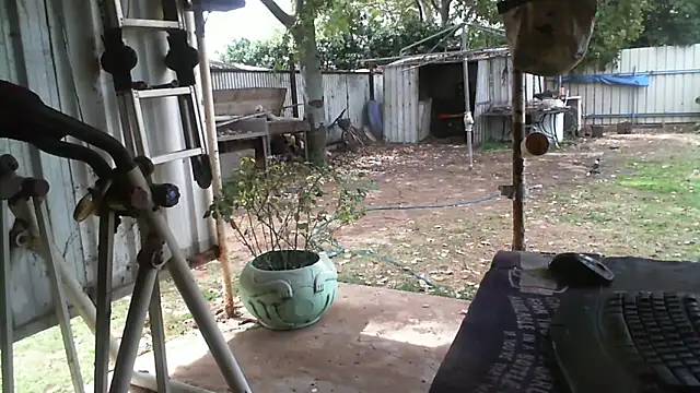 Snapshot of herbie010666 chatting on 09-16-25, 03:29 herbie010666 online show from 09-16-25, 03:29