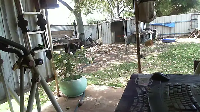 Snapshot of herbie010666 chatting on 10-12-25, 02:32 herbie010666 online show from 10-12-25, 02:32