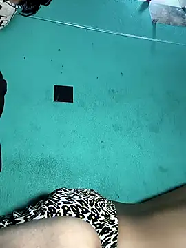 pariraj001 online show from 02-11-26, 03:50