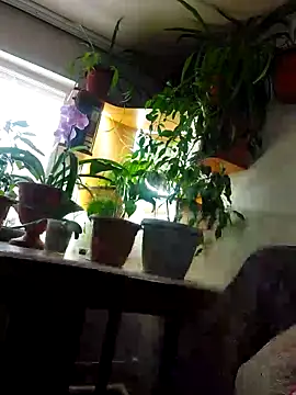 Snapshot of IrmaRose chatting on 11-09-25, 07:17 IrmaRose online show from 11-09-25, 07:17