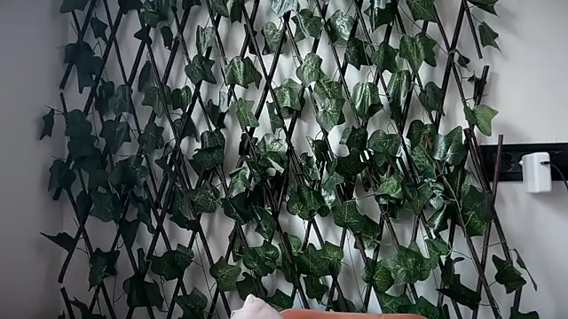 karo123421 online show from 02-10-26, 08:29