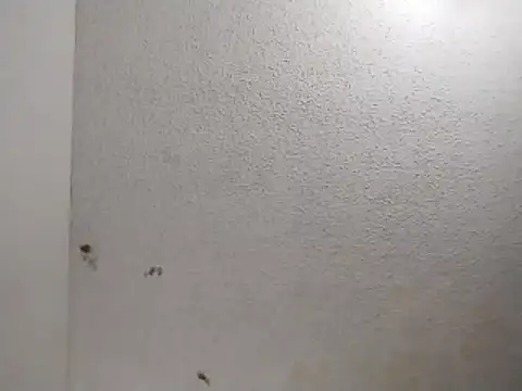 247Srokin online show from 04-01-26, 11:00