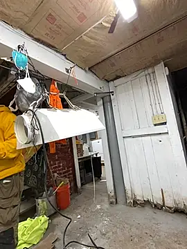 charactrzero online show from 12-23-24, 09:51