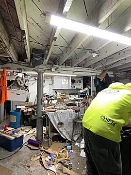 charactrzero online show from 01-04-25, 05:47