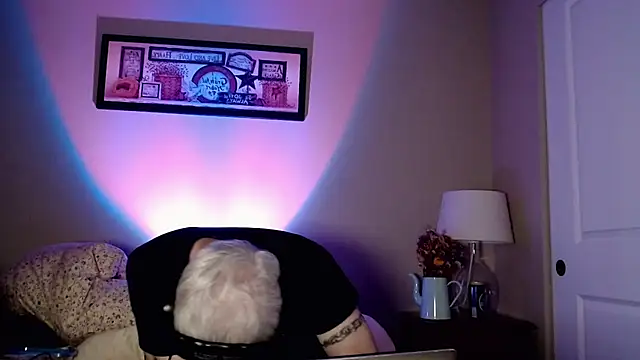 Snarfle82 online show from 11-17-25, 06:52