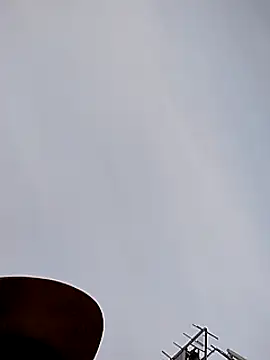 Daddy hook online show from 12-11-24, 03:15