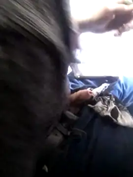 Wero4200 online show from 02-04-26, 10:36