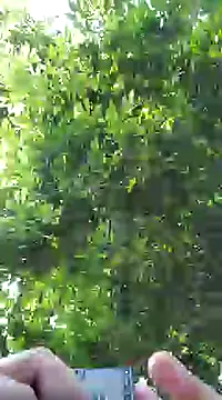 Snapshot of pene8991 chatting on 01-17-25, 07:16 pene8991 online show from 01-17-25, 07:16