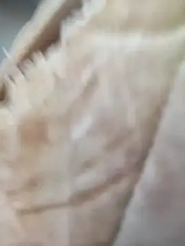 Comedordecu0289 online show from 09-20-25, 02:29