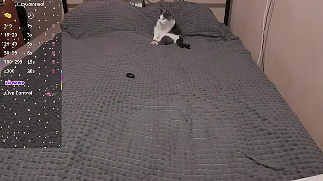 eva zero online show from 03-28-26, 11:10