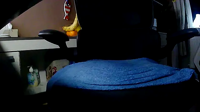 suedel65 online show from 11-29-25, 03:53